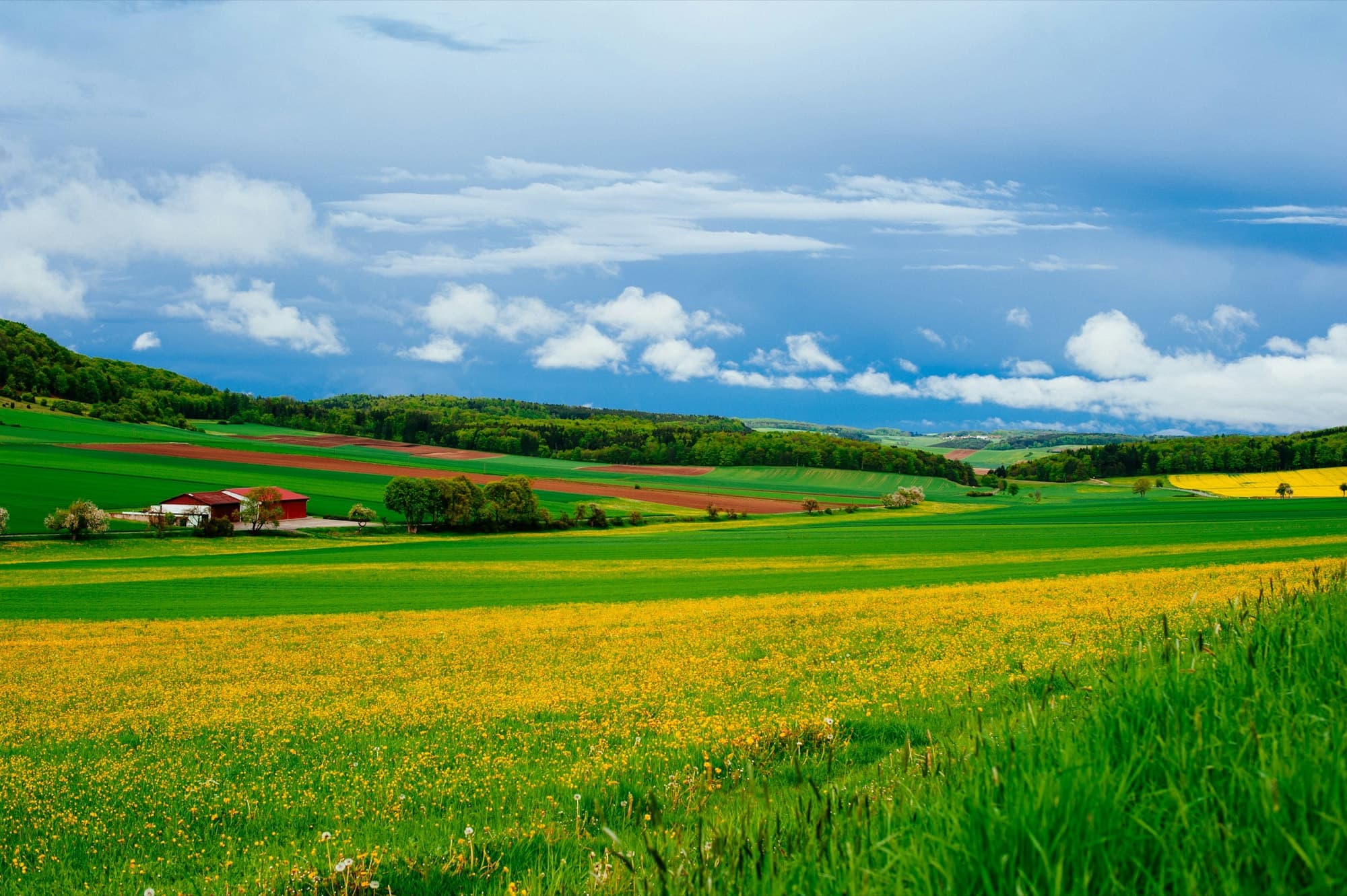 Grüne Felder und ein Hof in hügeliger Landschaft